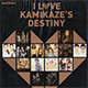 I LOVE KAMIKAZE`S DESTINY