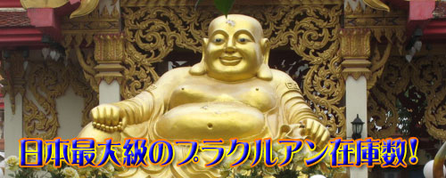 {ő勉̃vNA݌ɐI
